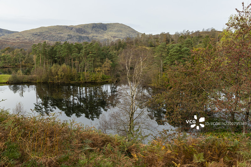 塔恩霍斯，湖区，英格兰图片素材