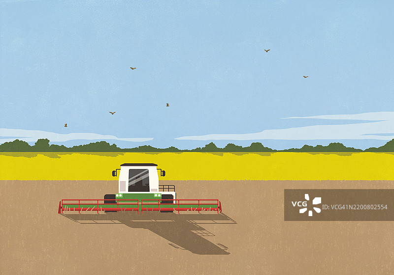 阳光明媚的乡村农田里的联合收割机图片素材