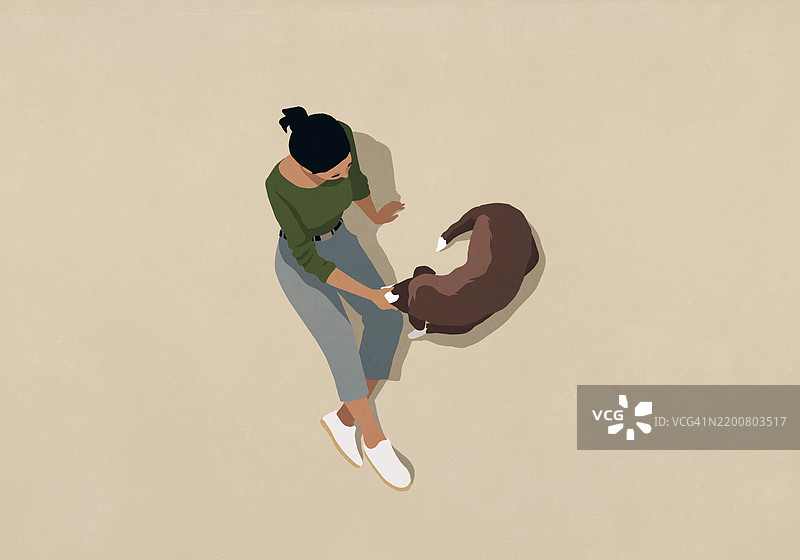 高角度视图的女性坐着抚摸棕色狗狗，背景为米色。图片素材