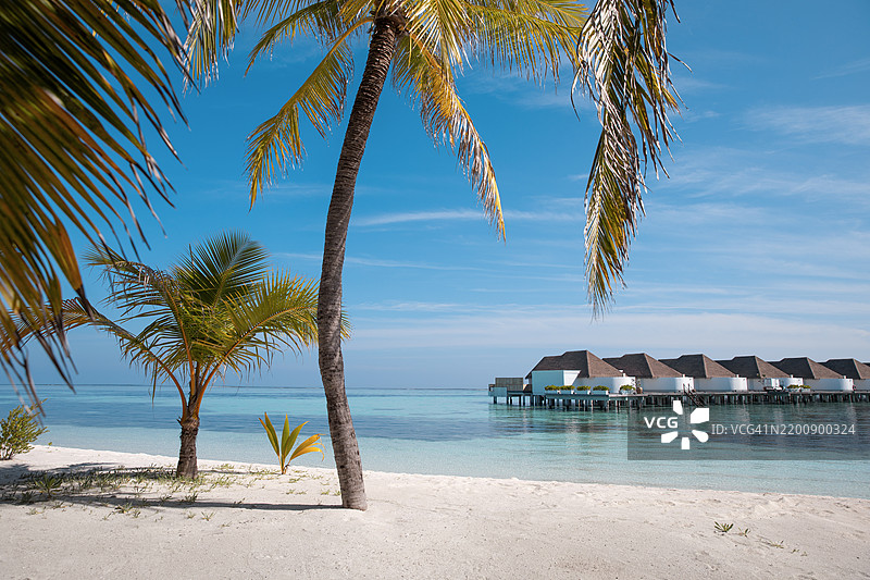 马尔代夫奢华度假酒店的水上别墅，坐落在理想的碧蓝海滩泻湖中图片素材