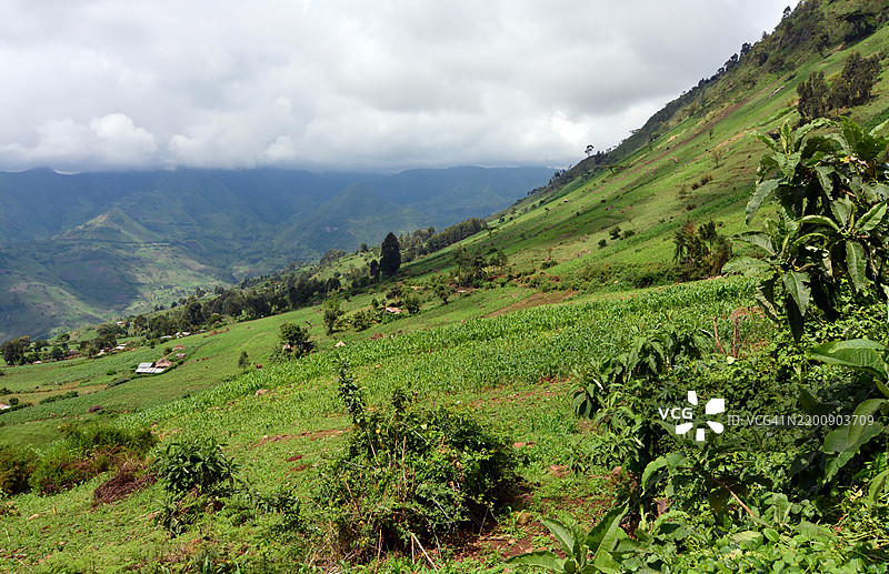 裂谷山脊上的农作物图片素材