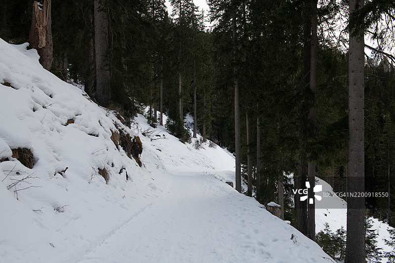 蜿蜒穿过山脉的雪-covered森林小径图片素材