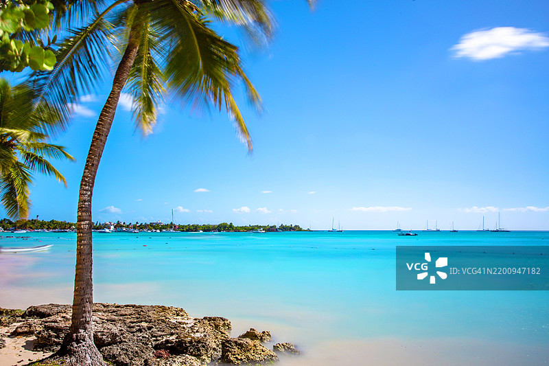 宁静的逃离：萨奥纳岛的棕榈环绕海岸图片素材