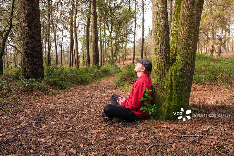在树林中放松的徒步旅行者，靠在树上图片素材