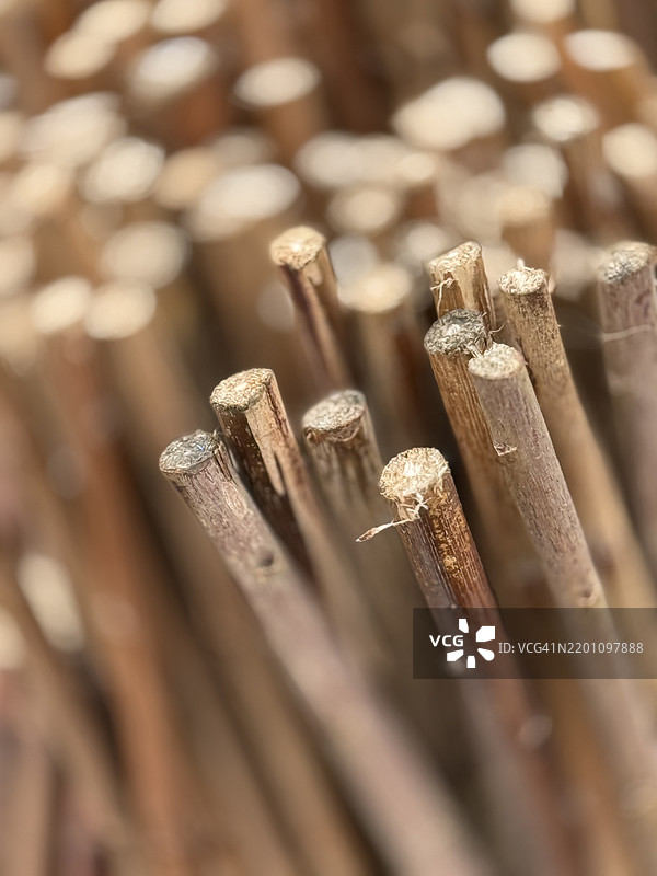 特写镜头下的切割柳条选择图片素材