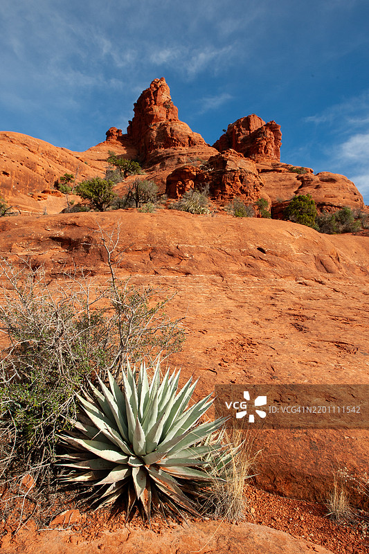 贝尔岩的景观，前景有仙人掌图片素材