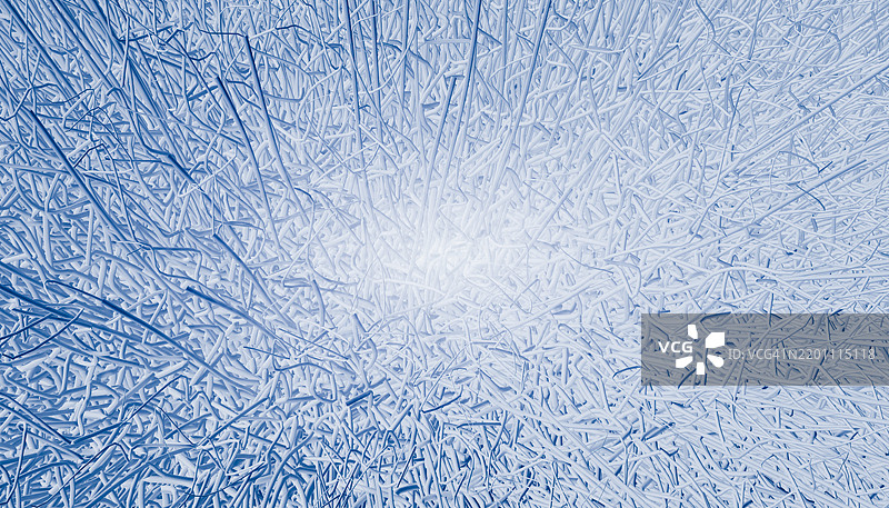 蓝色头发图案的抽象3D渲染图片素材