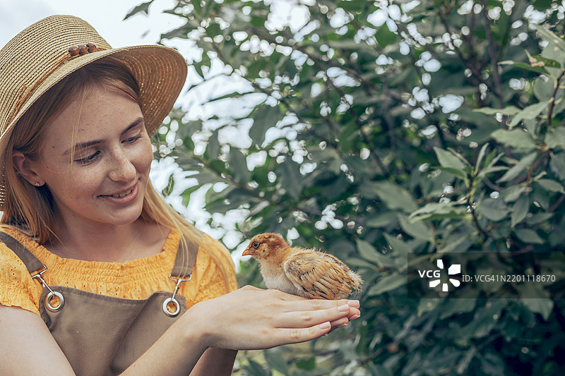 农场里抱着小鸡的女孩图片素材