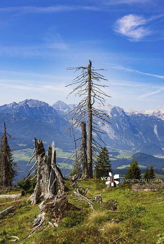 山林，通往塔博山峰的路上有枯树，拉默尔谷，奥斯特霍恩山脉，萨尔茨卡默古特，萨尔茨堡州，奥地利，欧洲图片素材