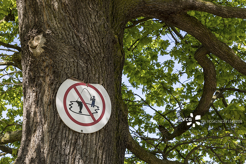 禁止钓鱼标志，已经长入德国萨克森州拉德堡的巴恩斯多夫大池塘老橡树（栎树）的树干中图片素材