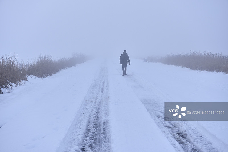 冬天，一个人在德国施莱斯维希-霍尔斯坦的雾中走在路上图片素材
