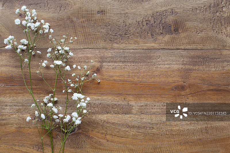 满天星图片素材