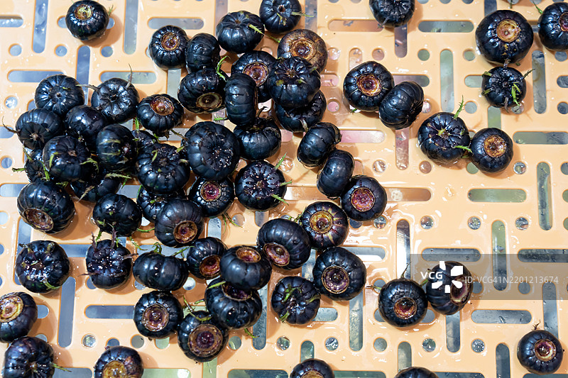 红参果图片素材