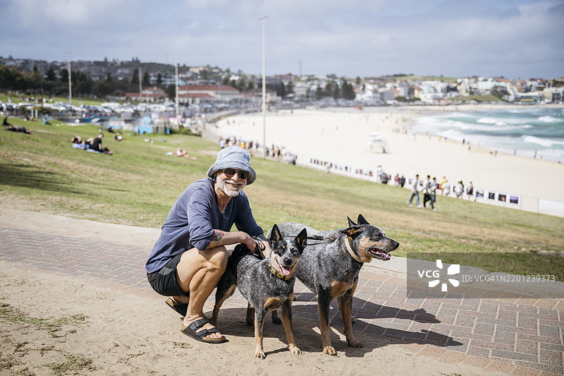 一位老年男子蹲在人行道上，身边有三只澳大利亚牧牛犬，面带微笑朝着镜头，邦迪海滩，悉尼图片素材