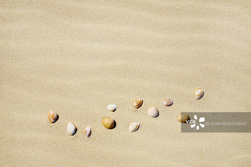 沙滩上满是贝壳的沙地特写镜头图片素材