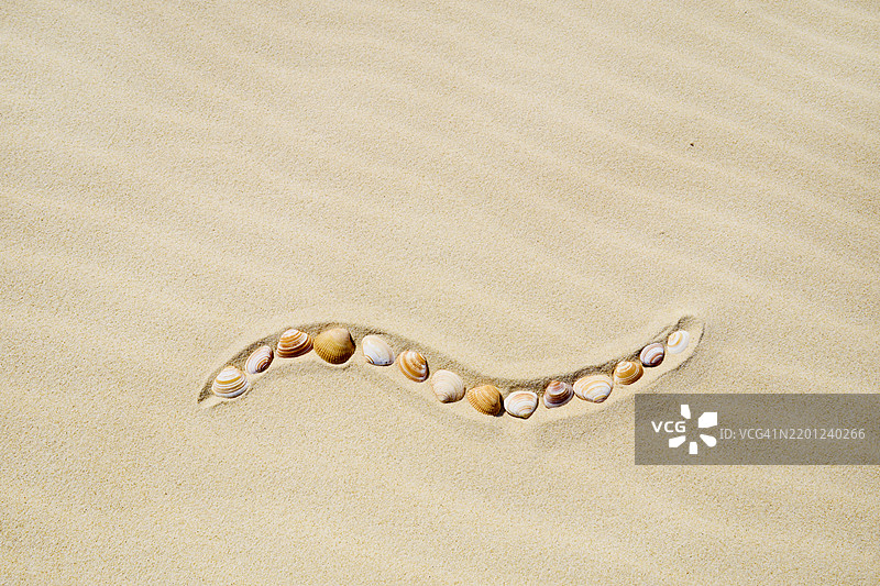 高角度视图显示沙滩上用沙子绘制的波浪线，装饰着贝壳。图片素材