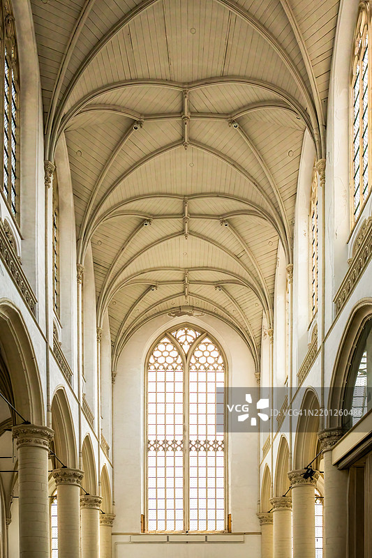 霍赫兰德教堂 莱顿图片素材