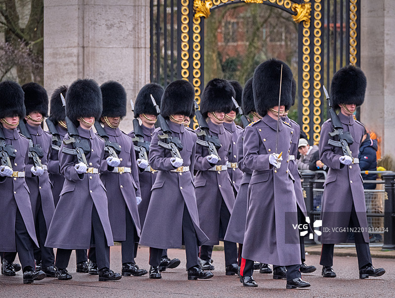 冷溪卫队在伦敦白金汉宫的阅兵仪式上图片素材