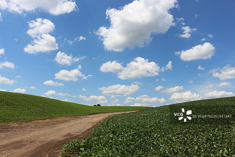 地平线风景图片素材