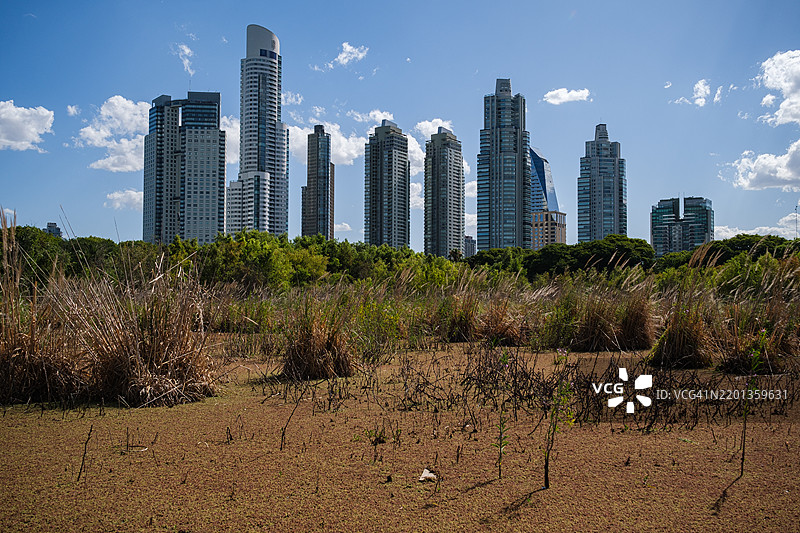 布宜诺斯艾利斯的生态保护区Costanera Sur，城市天际线在阳光明媚的下午高耸于城市湿地之上。图片素材