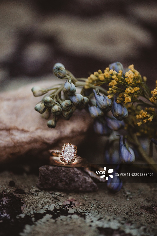 婚戒与背景中的花朵图片素材