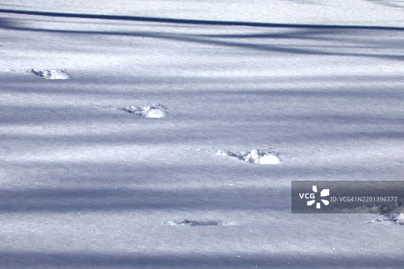 深雪中的脚印图片素材