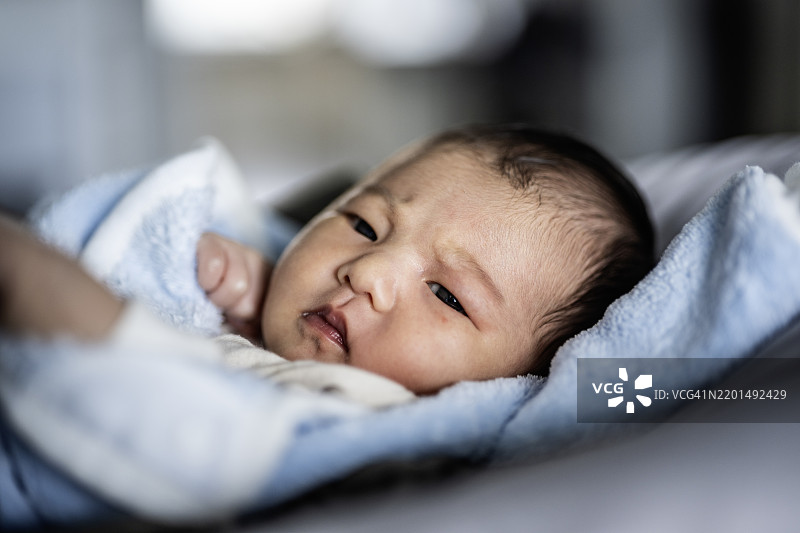 新生儿图片素材