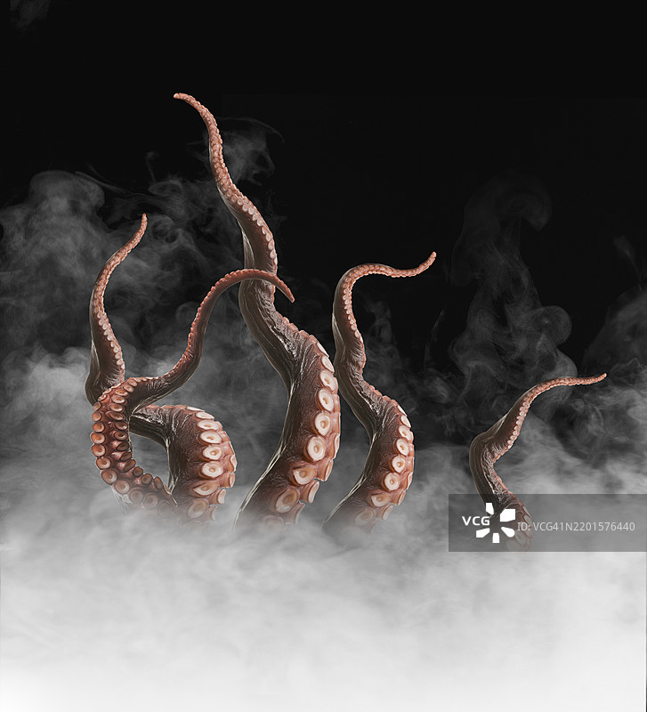 章鱼触手与云朵的概念图图片素材