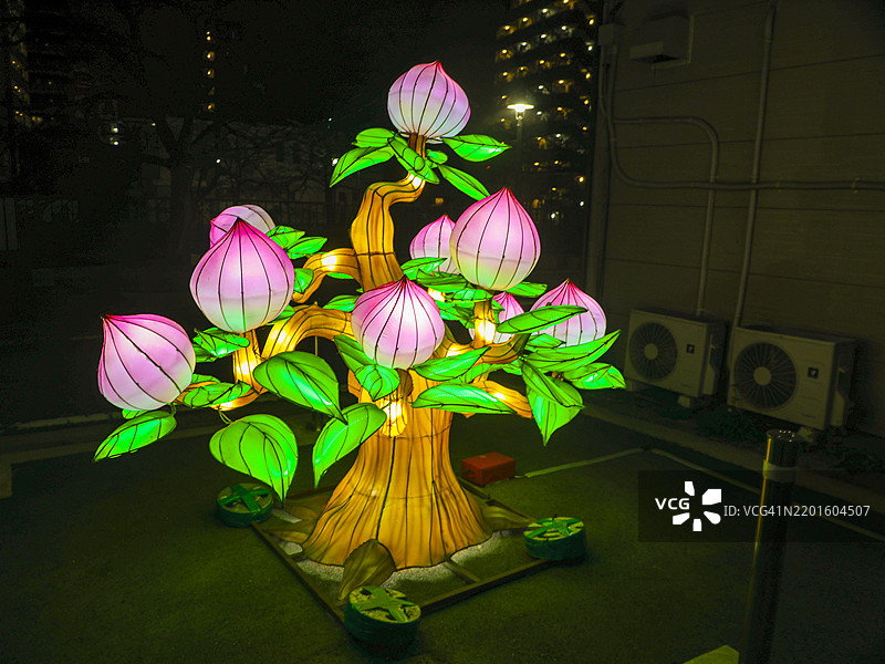 黄金町的桃花树灯笼展示庆祝春节图片素材