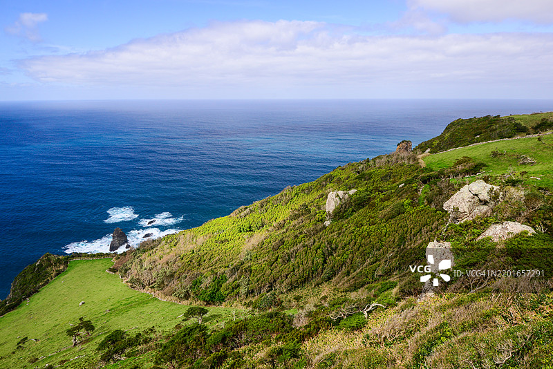 阳光明媚的海岸景色，郁郁葱葱的绿色山丘倾斜至深蓝色的海洋，海面上点缀着岩石突起，天空晴朗。图片素材