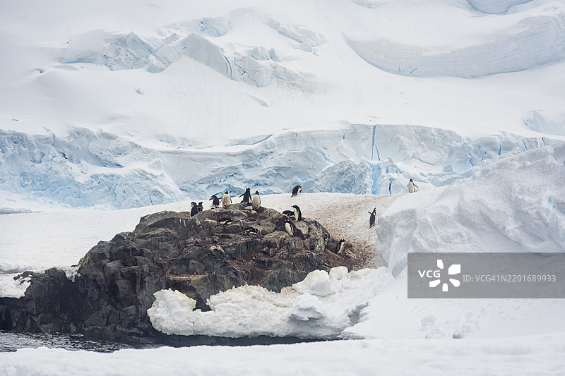 令人惊叹的景色：南极米克尔森港企鹅栖息地的雪与冰图片素材
