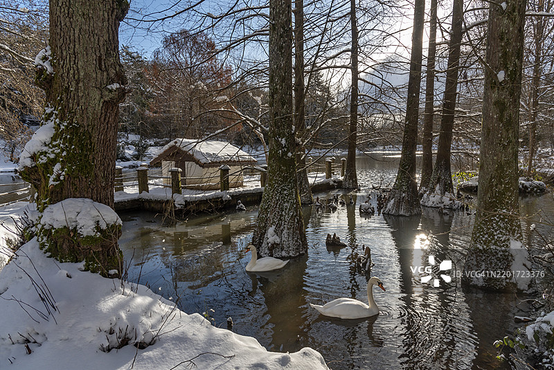土耳其伊斯坦布尔的雪天图片素材