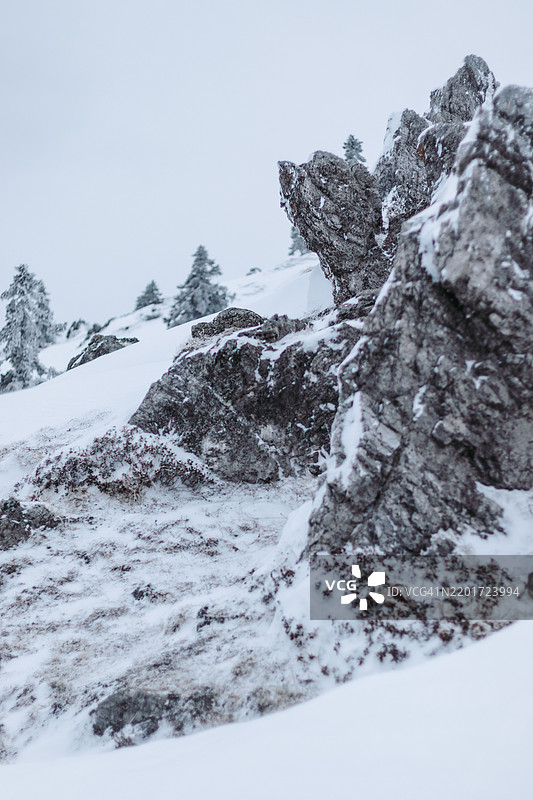 被雪覆盖的岩石照片图片素材