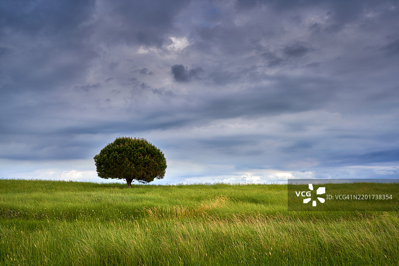 克罗地亚乌马格的天空下的田野美景图片素材