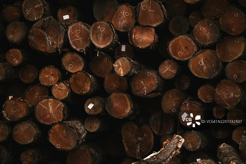 银顿，俄勒冈州，美国的木材特写镜头图片素材