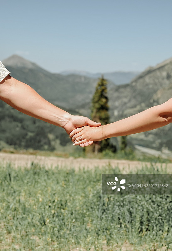 一对情侣在植物前牵手的裁剪图像，布雷肯里奇，科罗拉多州，美国图片素材