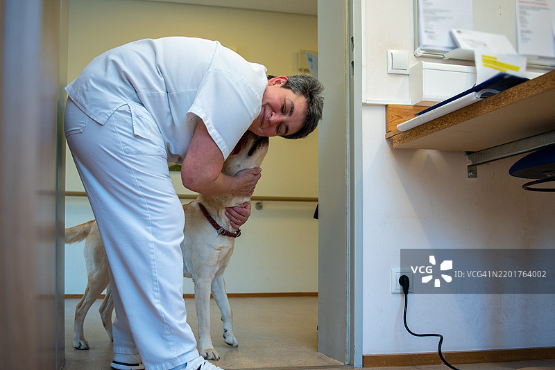兽医在诊所房间里拥抱一只狗。图片素材