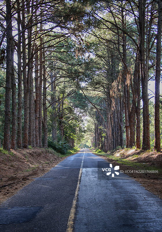 在恩特雷里奥斯的萨尔托格兰德水库旁的小径图片素材