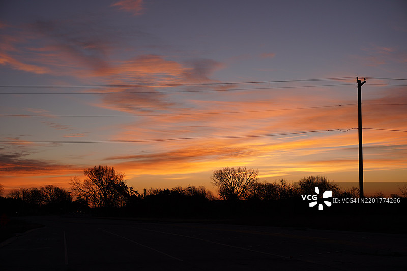 德克萨斯州麦金尼市日落时分，天空下的田野上树木的剪影图片素材