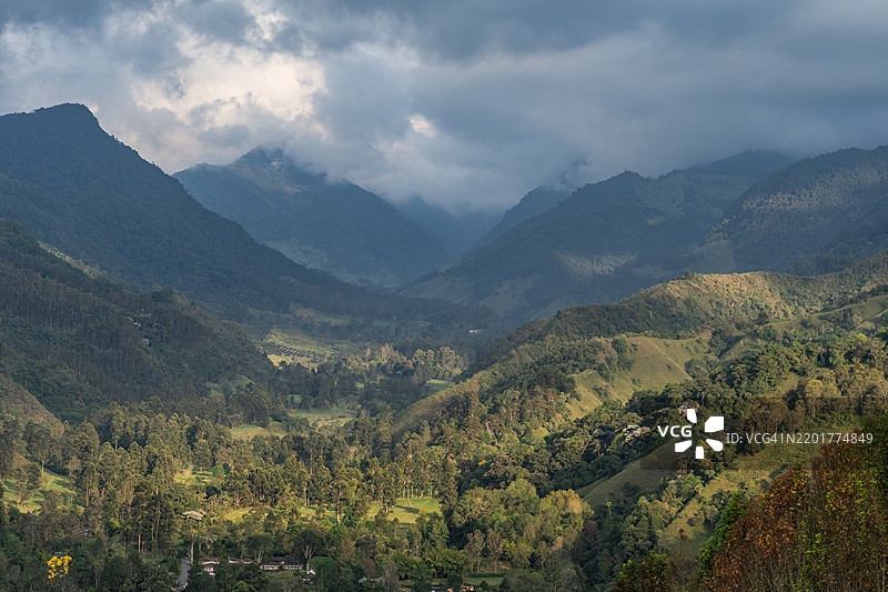 科科拉山谷的雾气弥漫的阿尔卑斯山景观，位于哥伦比亚萨伦托，南美洲。萨伦托的云层和亚热带安第斯山脉，内华多斯国家自然公园。图片素材