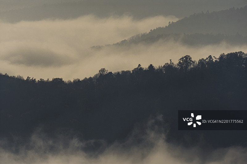 一座被阴沉云层笼罩的山脉。树木高大且分散，营造出深邃和广阔的感觉。弗吉山脉，下莱茵，阿尔萨斯，法国，欧洲图片素材