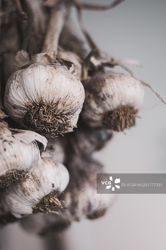 大蒜特写镜头图片素材
