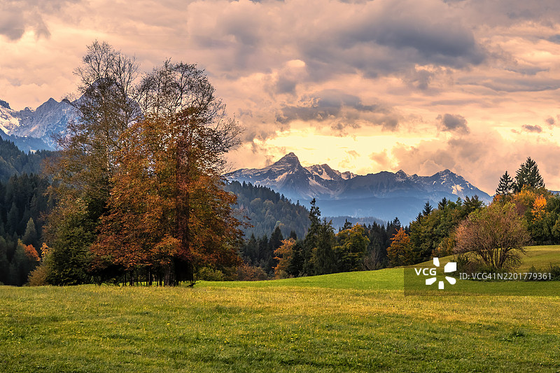 日落时分，天空映衬下的田野美景图片素材