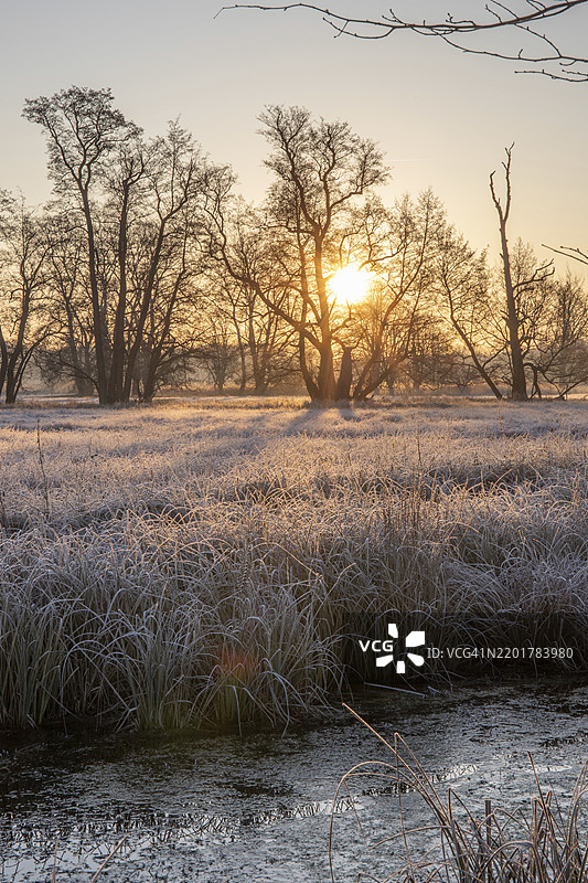 冬季日出时的霜冻景观。冬季的草地和静水，阳光下的冰晶和温暖色调。法兰克福附近城市森林中的自然保护区和开阔空间。图片素材