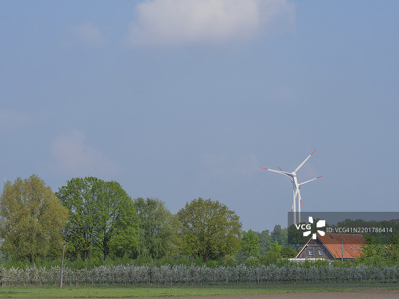 德国明斯特地区韦塞克的乡村景象，农舍、风车和蓝天下的树木。图片素材