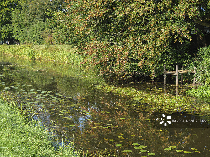 德国下莱茵地区马里恩塔尔的河流，河岸有悬垂的树木、水生植物和一座小木栈桥。图片素材