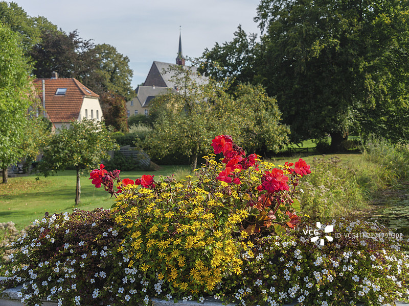 前景中盛开的花朵，蓝天下俯瞰着德国下莱茵地区马里恩塔尔乡村村庄中的教堂。图片素材