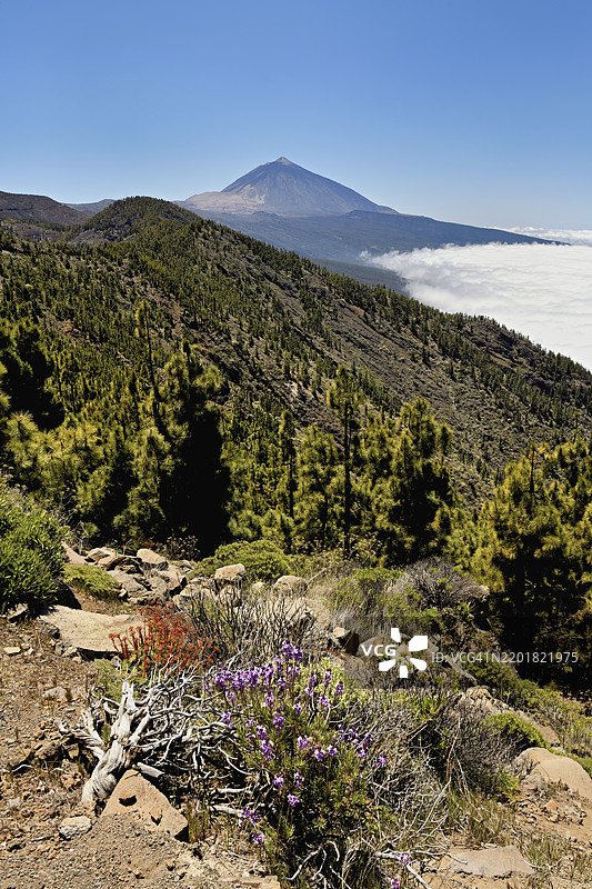 火山景观,火山皮科德尔泰德在贸易风云层之上,泰德国家公园,特内里费,西班牙,加那利群岛,欧洲图片素材