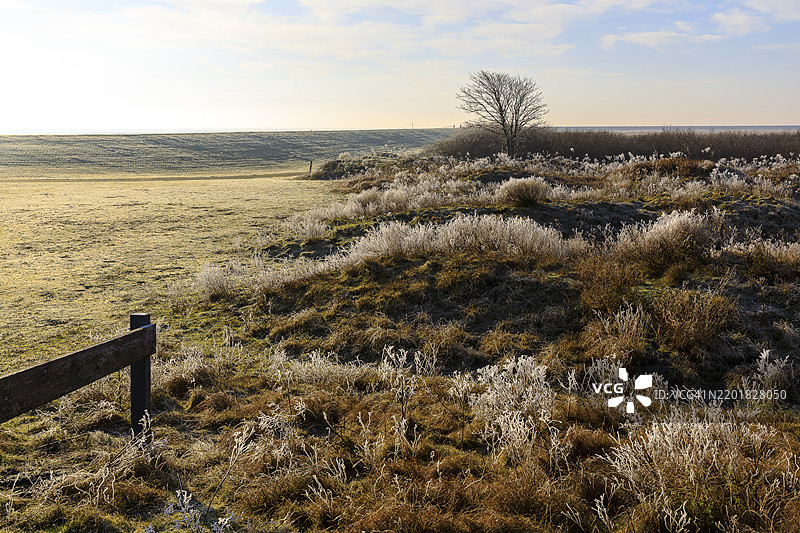 德国下萨克森州诺德奈岛南海滩的植被上覆盖着白霜图片素材