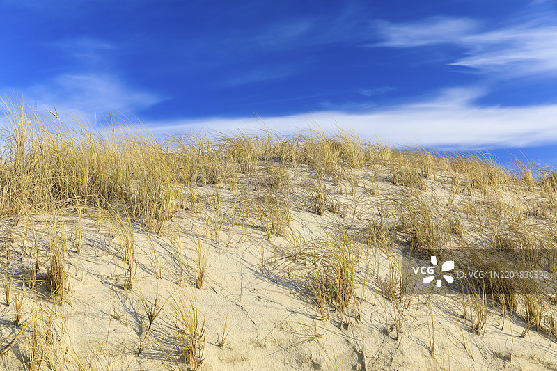 德国下萨克森州诺德奈岛沙丘上的海滩草图片素材